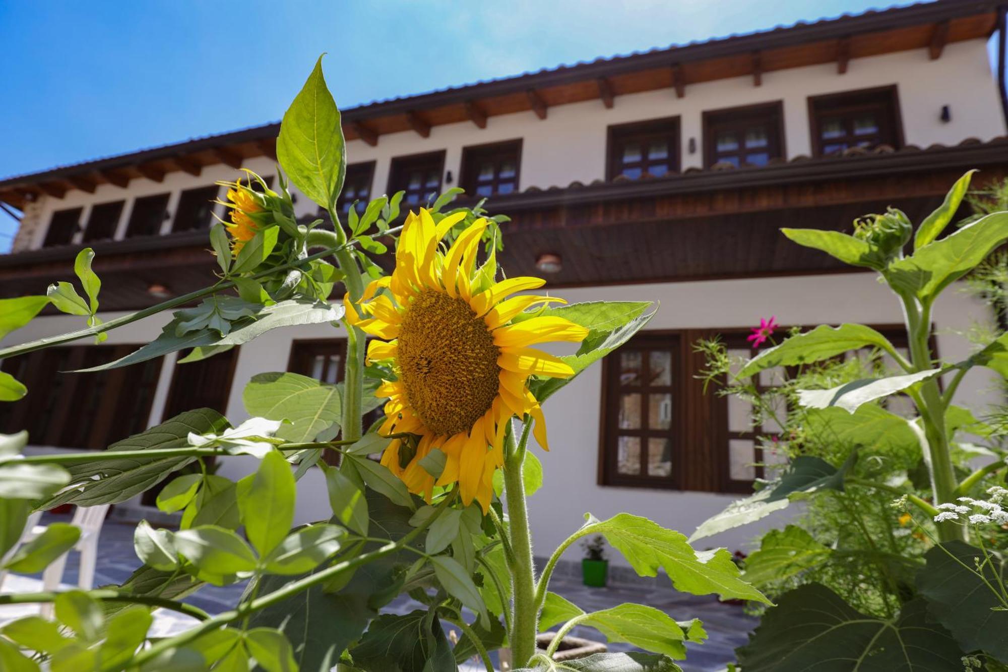 The House Of Dollma , Inside Kruja Castle Hotel Exterior foto